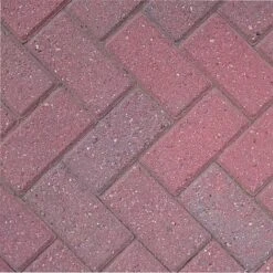 Block Blitz Eco Cleaner Block Paving 10 Block Blitz Eco Cleaner Block Paving -Plants Sales Store BP after