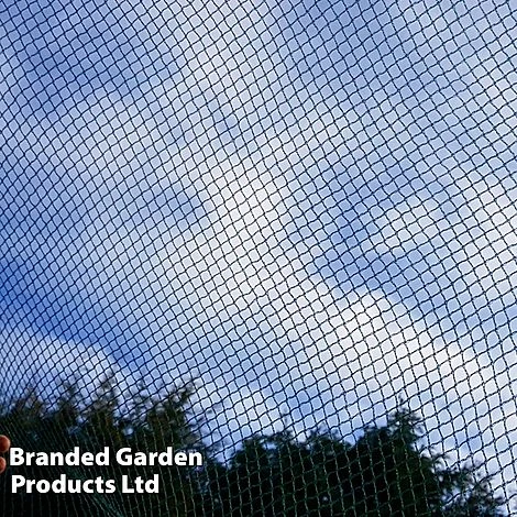 No Frills Cage 7mm Butterfly Net 3 No Frills Cage 7mm Butterfly Net