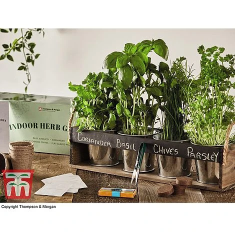 Chalk Board Herb Garden Gift Set - Gift 3 Chalk Board Herb Garden Gift Set - Gift