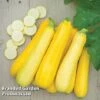 Courgette 'Butterstick' F1 1 Courgette 'Butterstick' F1 -Plants Sales Store COUR BUTT