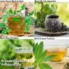 Botanical Infusions Plants - Collection 1 Botanical Infusions Plants - Collection -Plants Sales Store Collage herb