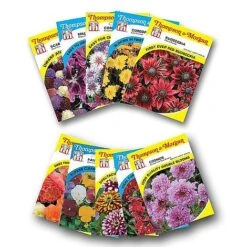 Seed Collection Tin - Gift 13 Seed Collection Tin - Gift -Plants Sales Store FLOW T45153P A h1