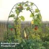 Circular Plant Growing Frame -Plants Sales Store FRAM LONDONEYE S46658