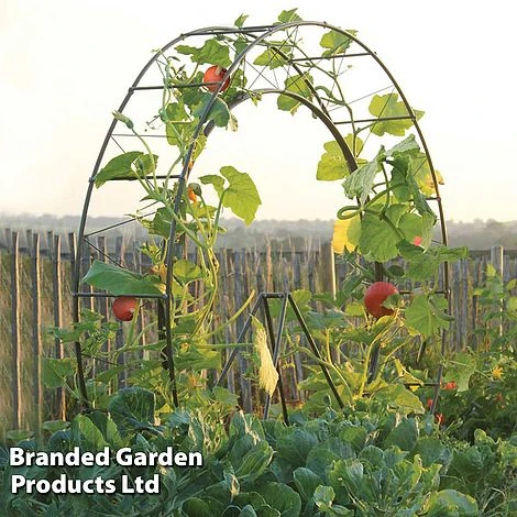 Circular Plant Growing Frame 3 Circular Plant Growing Frame