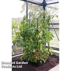 Fold-a-Frame 6 Fold-a-Frame -Plants Sales Store Fold a Frame KC3618 B