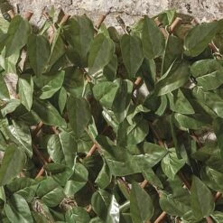 Expandable Artificial Ivy Hedge Trellis 7 Expandable Artificial Ivy Hedge Trellis -Plants Sales Store G1041 3 1000x1000 1