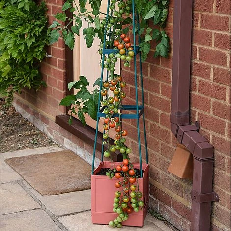 Garden Grow Self Watering Tomato Tower 4 Garden Grow Self Watering Tomato Tower - Image 2