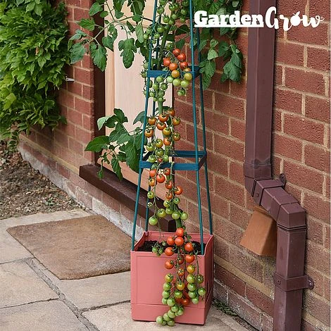 Garden Grow Self Watering Tomato Tower 3 Garden Grow Self Watering Tomato Tower