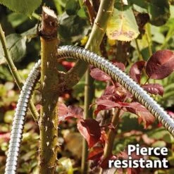 Easy Hose Stainless-steel Hose -Plants Sales Store G2235207202000x2000