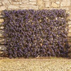 Expandable Artificial Hedge Trellis - Purple Lavender 8 Expandable Artificial Hedge Trellis - Purple Lavender -Plants Sales Store G2254202202000x2000