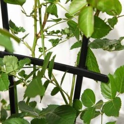 Garden Gear 1.2-Metre Fan Trellis 9 Garden Gear 1.2-Metre Fan Trellis -Plants Sales Store G447320TREL FANGARDEN203202000x2000