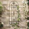 Garden Gear 1.2M Metal Plant Support - Swirl -Plants Sales Store G454420logo202000x2000
