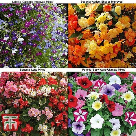 Garden Ready Basket Collection 3 Garden Ready Basket Collection