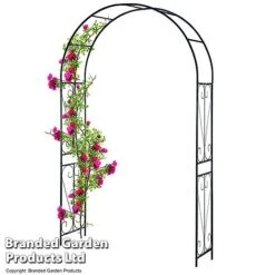Garden Gear 2.2M Metal Garden Arch 13 Garden Gear 2.2M Metal Garden Arch -Plants Sales Store GARD ARCHSWIRL T47919