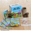Mr Men Seed Grow Flower Kit 1 Mr Men Seed Grow Flower Kit -Plants Sales Store GKIT LITTLEMIS T48774
