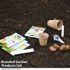 Mr Men Seed Grow Flower Kit 10 Mr Men Seed Grow Flower Kit -Plants Sales Store GKIT LITTLEMIS T49095