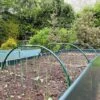 Garden Cloche Hoops For Netting Plant Protection & Support (0.85 W X 0.35m H) 2 Garden Cloche Hoops For Netting Plant Protection & Support (0.85 W X 0.35m H) -Plants Sales Store GPH20 20GARDEN20HOOPS201000X100020986KB