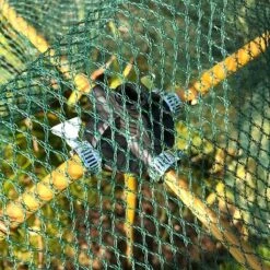 Bamboo Cane & Plant Stick Connector Balls - Pk 8 12 Bamboo Cane & Plant Stick Connector Balls - Pk 8 -Plants Sales Store GSK2025PIC2