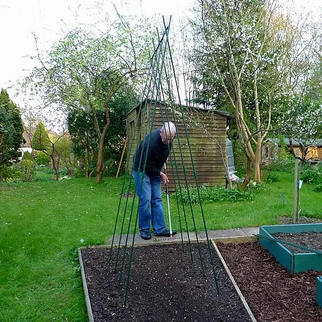 Easy Grow Runner Bean Frame & Climbing Plant Support Trellis - 0.75 X 1.2 X 2.4m H 6 Easy Grow Runner Bean Frame & Climbing Plant Support Trellis - 0.75 X 1.2 X 2.4m H - Image 4