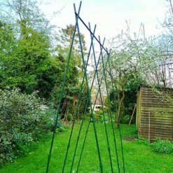Easy Grow Runner Bean Frame & Climbing Plant Support Trellis - 0.75 X 1.2 X 2.4m H 11 Easy Grow Runner Bean Frame & Climbing Plant Support Trellis - 0.75 X 1.2 X 2.4m H -Plants Sales Store GSK2156PIC4