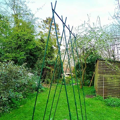Easy Grow Runner Bean Frame & Climbing Plant Support Trellis - 0.75 X 1.2 X 2.4m H 7 Easy Grow Runner Bean Frame & Climbing Plant Support Trellis - 0.75 X 1.2 X 2.4m H - Image 5