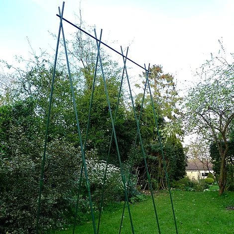 Easy Grow Runner Bean Frame & Climbing Plant Support Trellis - 0.75 X 1.2 X 2.4m H 4 Easy Grow Runner Bean Frame & Climbing Plant Support Trellis - 0.75 X 1.2 X 2.4m H - Image 2