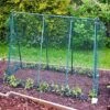 Easy Grow Pea Frame & Climbing Plant Support Trellis - 0.75 X 1.2 X 1m H -Plants Sales Store GSK2210PIC1