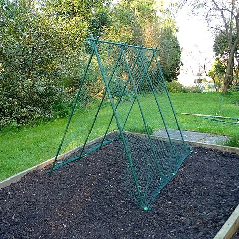 Easy Grow Pea Frame & Climbing Plant Support Trellis - 0.75 X 1.2 X 1m H 4 Easy Grow Pea Frame & Climbing Plant Support Trellis - 0.75 X 1.2 X 1m H - Image 2