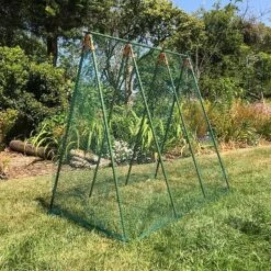 Pea Master Heavy Duty Pea & Climbing Plant Support Frame - 0.75 X 1.2 X 1.2m H 12 Pea Master Heavy Duty Pea & Climbing Plant Support Frame - 0.75 X 1.2 X 1.2m H -Plants Sales Store GSK2259HDPIC5