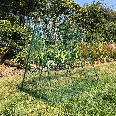 Pea Master Heavy Duty Pea & Climbing Plant Support Frame - 0.75 X 1.2 X 1.2m H 6 Pea Master Heavy Duty Pea & Climbing Plant Support Frame - 0.75 X 1.2 X 1.2m H - Image 4
