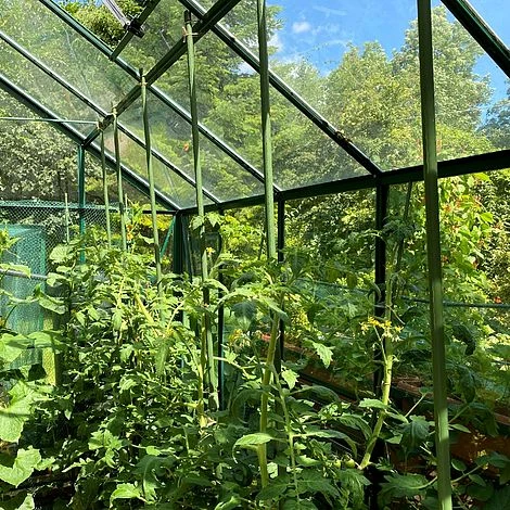 Telescopic Extendable Tomato & Cucumber Climbing Plant Support Stakes 4 Telescopic Extendable Tomato & Cucumber Climbing Plant Support Stakes - Image 2