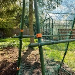 Cucumber Trellis & Pea Support Frame For Heavy Climbing Plants -Plants Sales Store GSK2284HD201000x100020940kb
