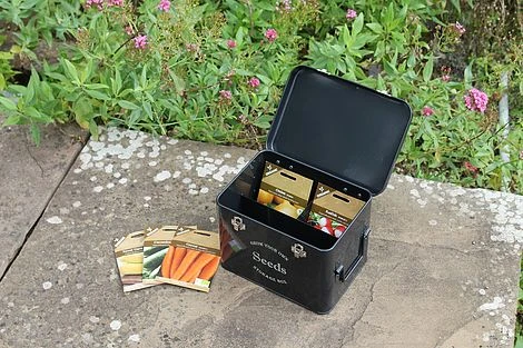 Black Seed Tin 5 Black Seed Tin - Image 3