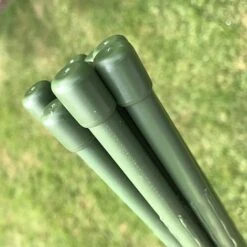Plant & Tomato Support Stakes - 1.8m / 71" Long 6 Plant & Tomato Support Stakes - 1.8m / 71" Long -Plants Sales Store IMG 7110