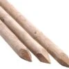 Tree Stakes 1.2m X 50mm Machine Rounded X 5 2 Tree Stakes 1.2m X 50mm Machine Rounded X 5 -Plants Sales Store MCRS125