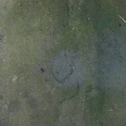 Block Blitz Eco Cleaner Multi Pave 8 Block Blitz Eco Cleaner Multi Pave -Plants Sales Store MP before