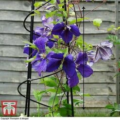 Open Top Obelisk 7 Open Top Obelisk -Plants Sales Store OBE KB0600 B