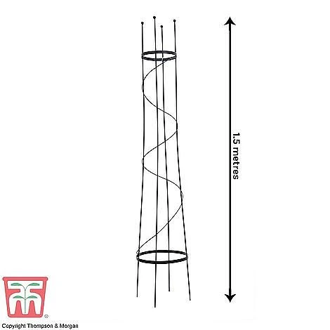 Open Top Obelisk 5 Open Top Obelisk - Image 3