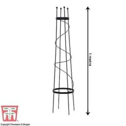 Open Top Obelisk 9 Open Top Obelisk -Plants Sales Store OBE KB0600 D