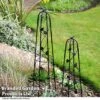 Garden Gear Metal Ornamental Obelisks 1 Garden Gear Metal Ornamental Obelisks -Plants Sales Store OBEL GARDGEARM T49308