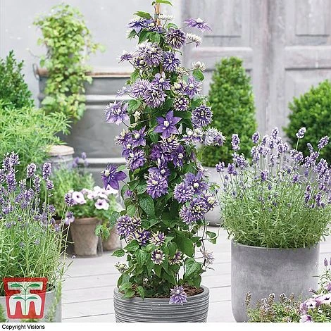 Perfect Patio Collection 6 Perfect Patio Collection - Image 4