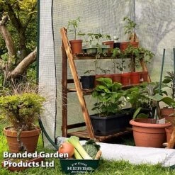 Medium Poly Pop Up (with Door) 8 Medium Poly Pop Up (with Door) -Plants Sales Store POPU POLYMEDIU S41974