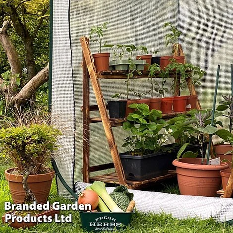 Medium Poly Pop Up (with Door) 5 Medium Poly Pop Up (with Door) - Image 3