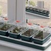 Propagator - Electric Windowsill Propagator Super 7 2 Propagator - Electric Windowsill Propagator Super 7 -Plants Sales Store PROP KWW2058 A h