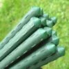 Plant Stake & Tomato Support Garden Canes - 1.2m / 47" Long 1 Plant Stake & Tomato Support Garden Canes - 1.2m / 47" Long -Plants Sales Store Plant20Stake20Bundle201000x100020967kb2