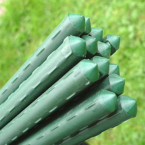 Plant Stake & Tomato Support Garden Canes - 1.2m / 47" Long 3 Plant Stake & Tomato Support Garden Canes - 1.2m / 47" Long