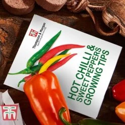 Red Hot Chilli & Sweet Peppers Growing Kit - Gift 9 Red Hot Chilli & Sweet Peppers Growing Kit - Gift -Plants Sales Store REDH KA8274 D