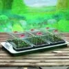 Big 3 Electric Propagator 1 Big 3 Electric Propagator -Plants Sales Store SUGAR8445
