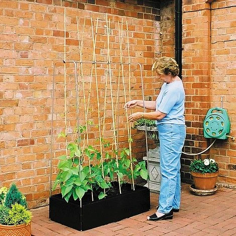 Mini Raised Bed Kit And Crop Support Frame 3 Mini Raised Bed Kit And Crop Support Frame