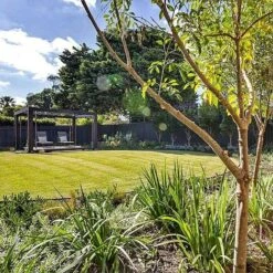 Straightcurve Flex - Garden Edging 75mm Bundle Of 6 Weathering Steel -Plants Sales Store Straightcurve Flex Garden Edging Flexline 75 2